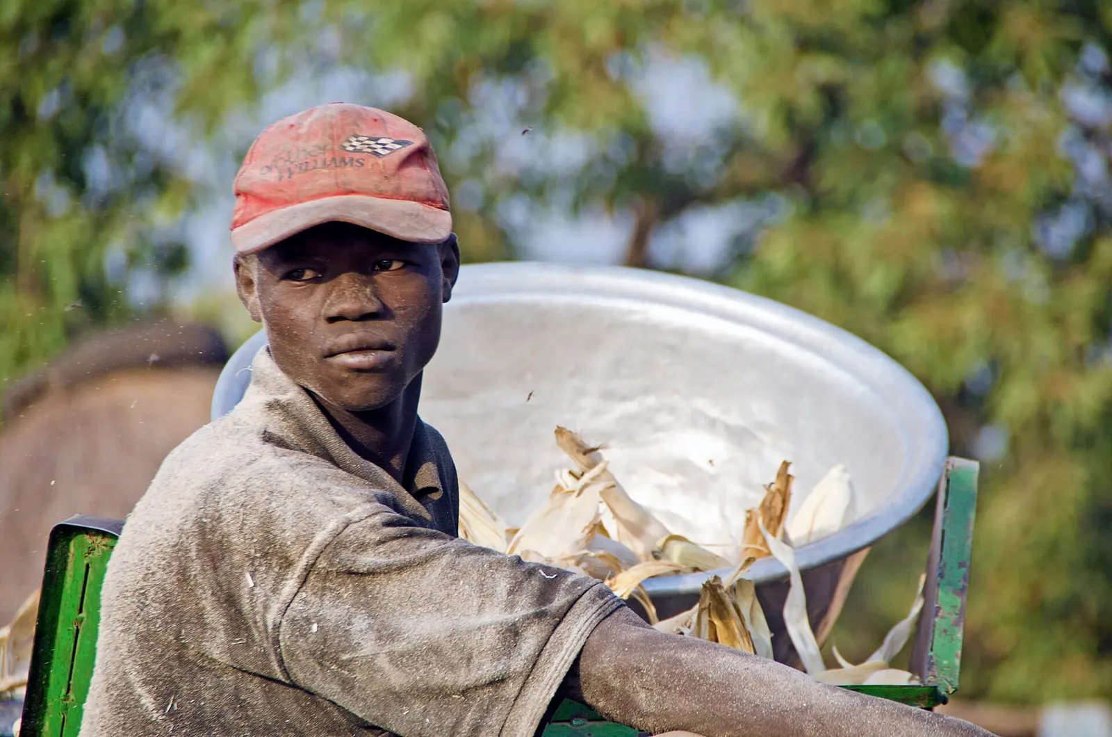 A maize farmer in Tamaligu, Northern Region, with his harvest