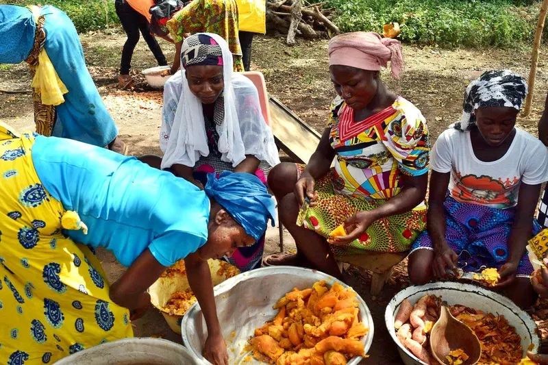 A community festival promoting orange-flesh sweet potato in Gushiegu