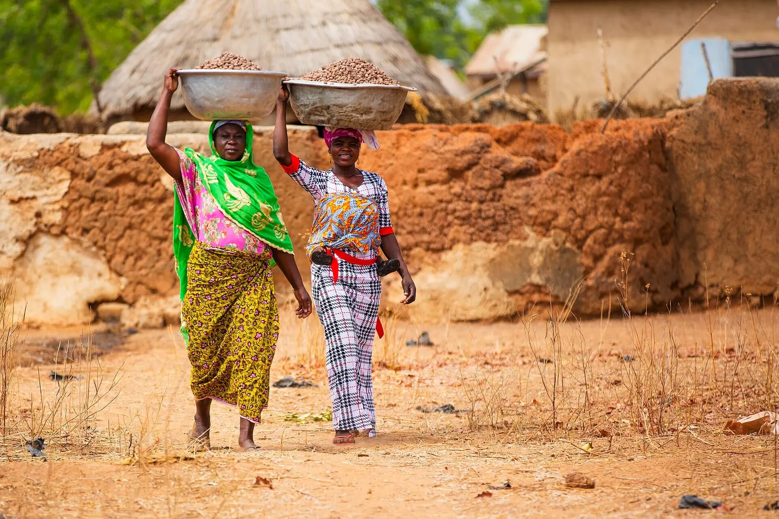 Women carrying basins of shea nuts in Northern Ghana