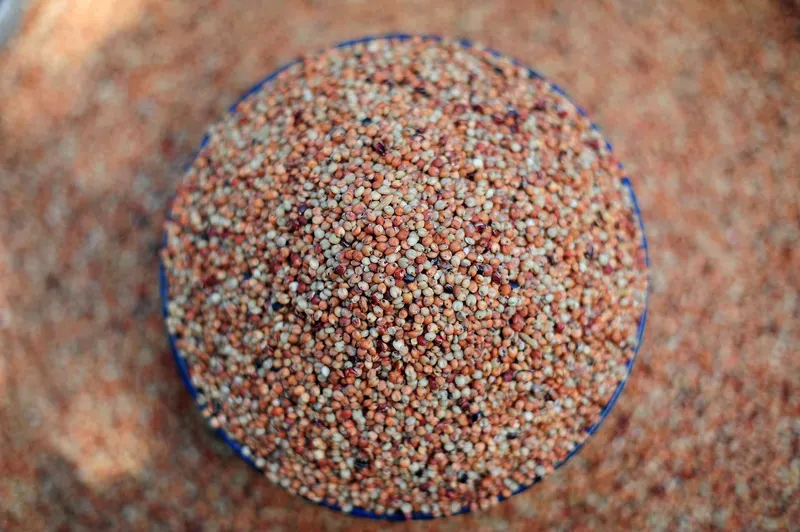 A bowl of sorghum grain at Sawla market, Northern Region